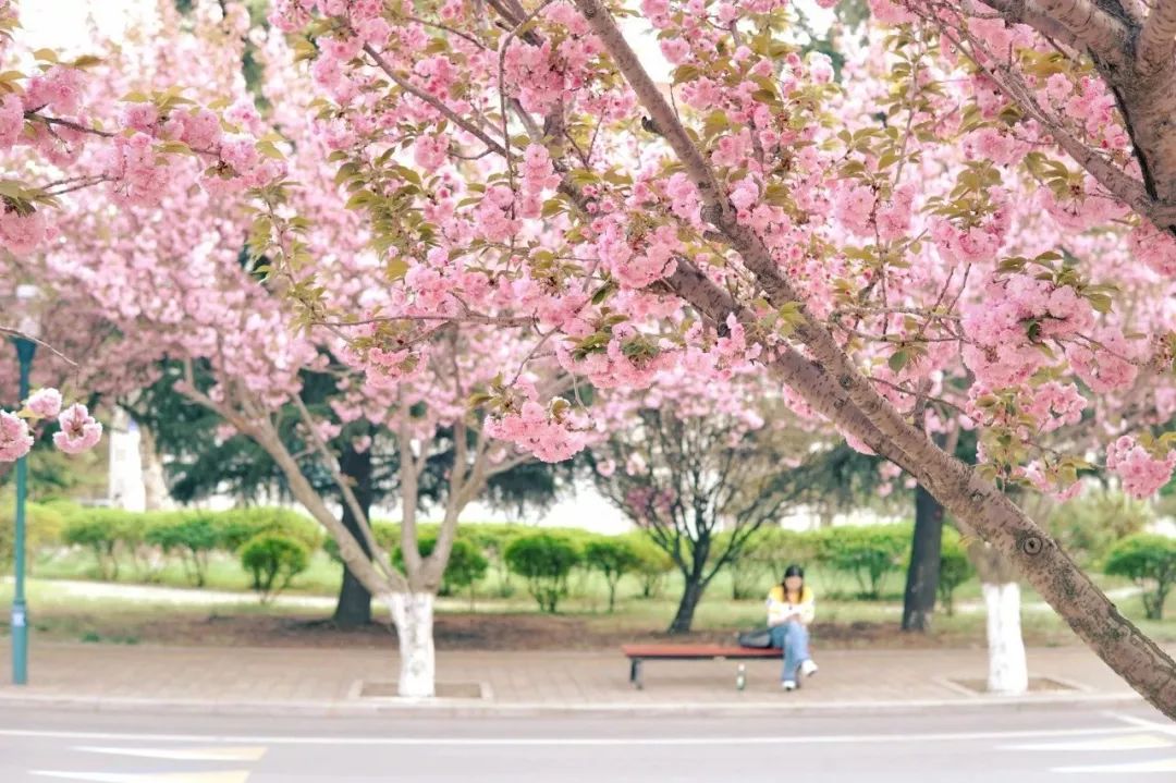 12月去哪里旅游机票最便宜又好玩,2021年三月份去厦门机票