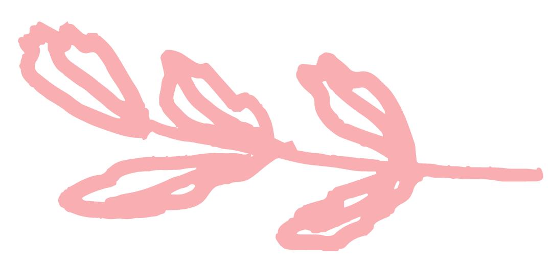 蔓越莓健康营养价值高吗,蔓越莓到底好不好吃