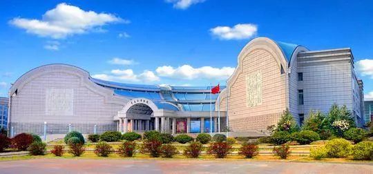 「游玩」春节假期青岛这些活动不要钱还涨知识！家长速看！