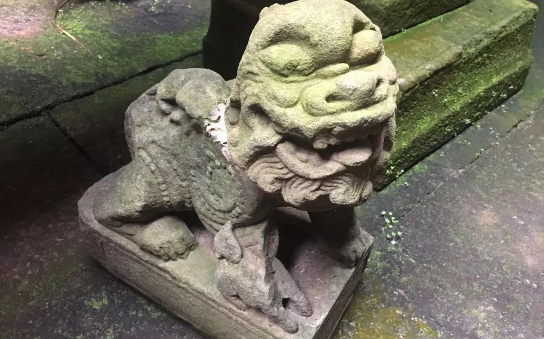 武夷山一日游详细攻略,武夷山超详细旅游攻略