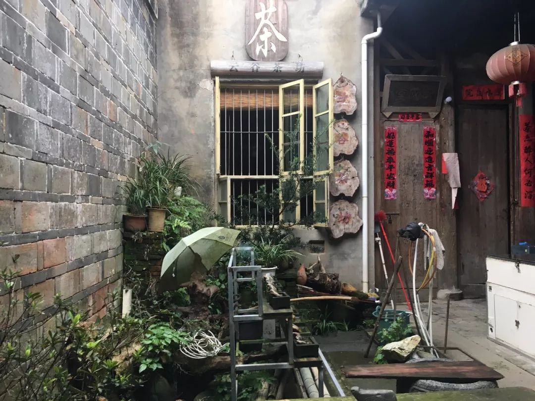 武夷山一日游详细攻略,武夷山超详细旅游攻略