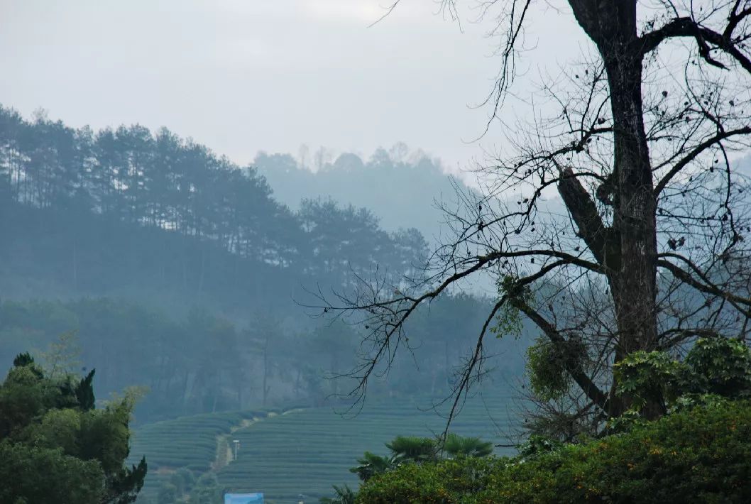 武夷山一日游详细攻略,武夷山超详细旅游攻略