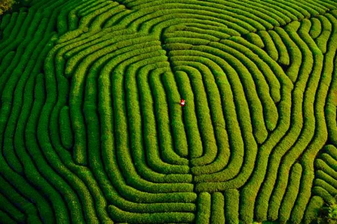 九华山德懋堂度假村,德懋堂度假村风景
