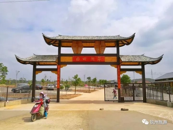 春节去钦州旅游攻略大全,广西钦州最新春节免费游玩攻略