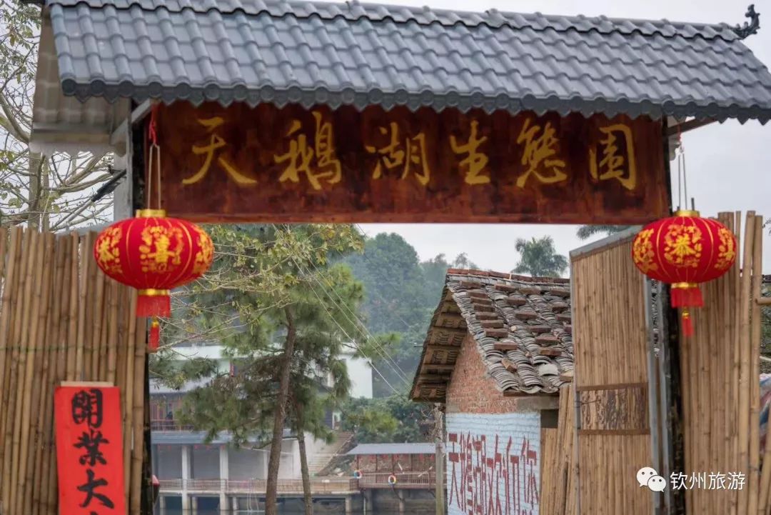 春节去钦州旅游攻略大全,广西钦州最新春节免费游玩攻略