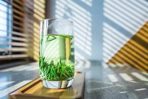 关于绿茶的16个冷知识你了解吗,绿茶的八个基本知识