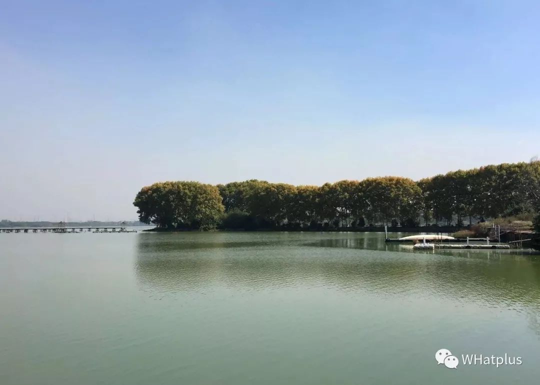 武汉东湖小白民宿,武汉森林玻璃房民宿