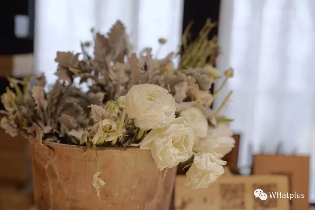 武汉东湖小白民宿,武汉森林玻璃房民宿