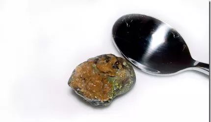 怎样处理鱼,怎么处理各种各样的鱼