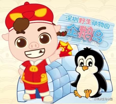 猪猪侠进入熊出没世界,猪猪侠限量金猪