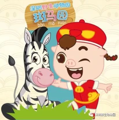 猪猪侠进入熊出没世界,猪猪侠限量金猪