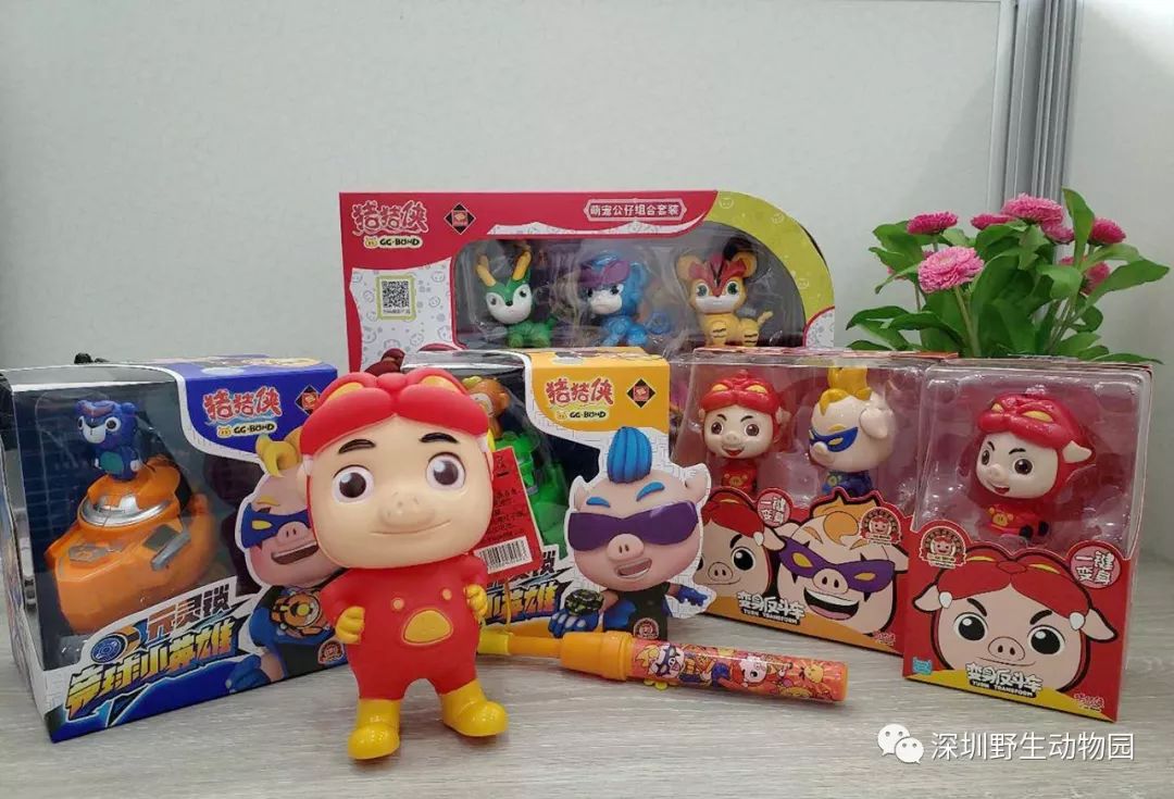 猪猪侠进入熊出没世界,猪猪侠限量金猪