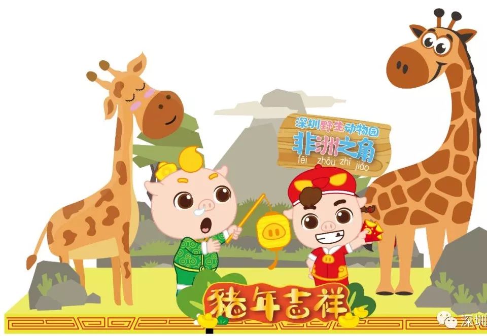 猪猪侠进入熊出没世界,猪猪侠限量金猪