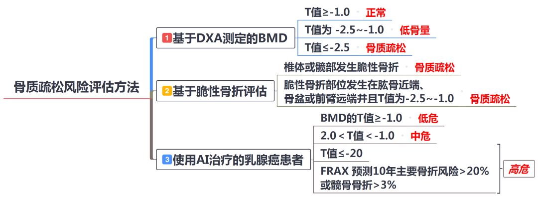 乳腺癌随访指南,中国乳腺癌诊疗规范