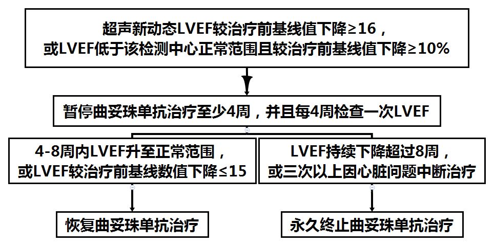 乳腺癌随访指南,中国乳腺癌诊疗规范