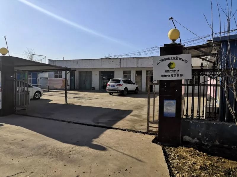 雏鹰农牧最新处理消息,河南雏鹰农牧最新消息