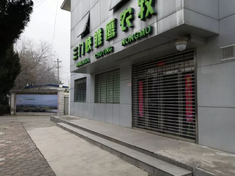 雏鹰农牧最新处理消息,河南雏鹰农牧最新消息