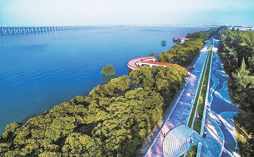 坐地铁去深圳旅游攻略路线,深圳一日游详细攻略大全最新