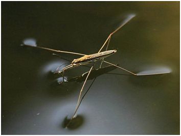 雪为什么是白色的看图写话,雪为什么白色不透明