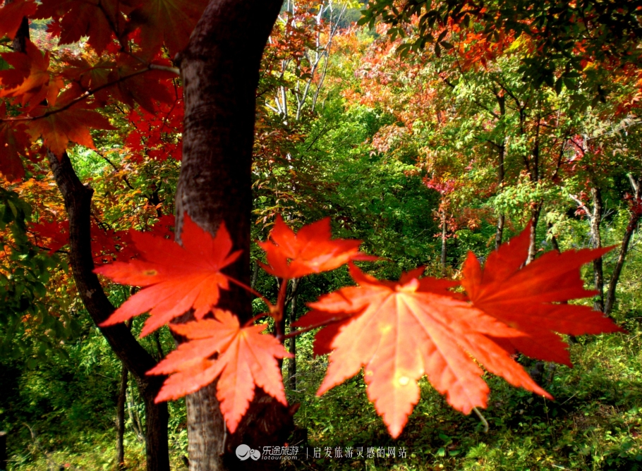 本溪市有名的画家,本溪桓仁画家村