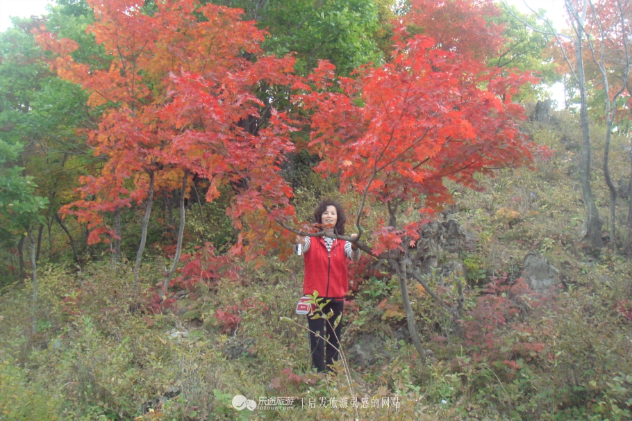 本溪市有名的画家,本溪桓仁画家村