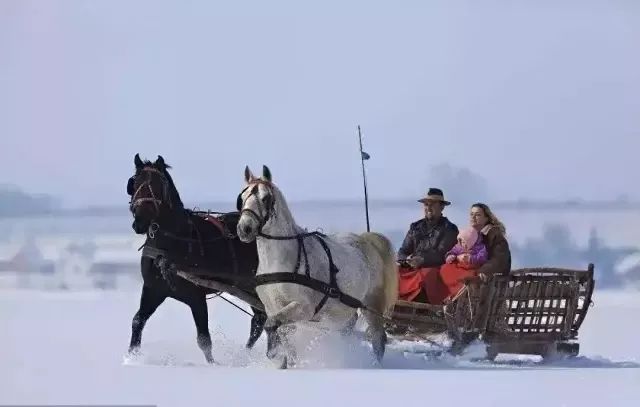 北京世园公园2022冰雪嘉年华攻略,2022年北京世园冰雪嘉年华