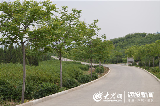 淄博高新区城建对比,淄博市建设最好的新区