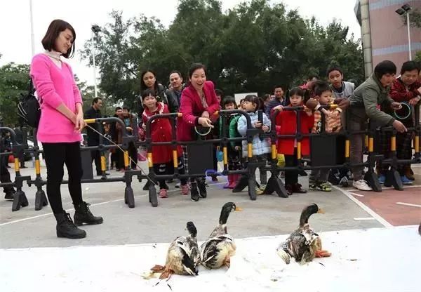 广西梧州平时有什么节目活动,梧州市文化广电体育和旅游