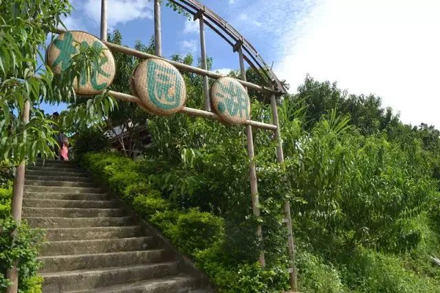 广西梧州平时有什么节目活动,梧州市文化广电体育和旅游