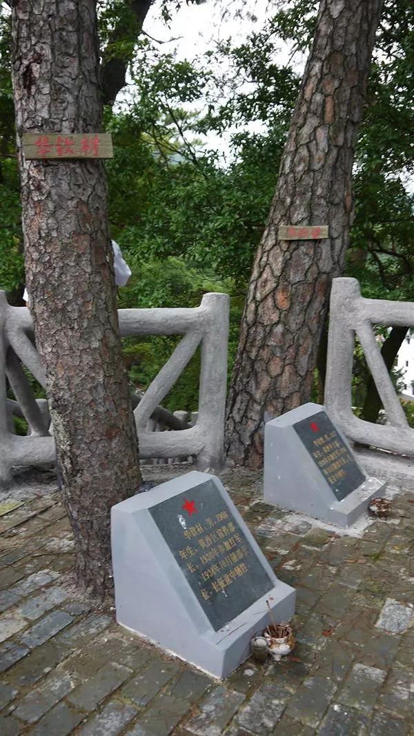 为什么要读人民日报的评论,为什么要读人民日报时政