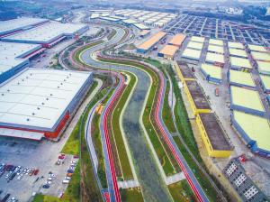 看熊猫吃火锅逛夜市,看熊猫吃萝卜