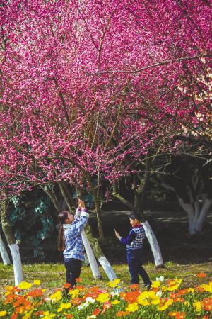 看熊猫吃火锅逛夜市,看熊猫吃萝卜