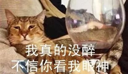 过年聚会喝多,过年聚会永远不买单