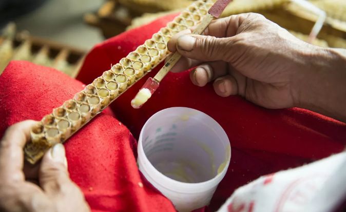 过年保健品有哪些坑,这几种保健品不值得买