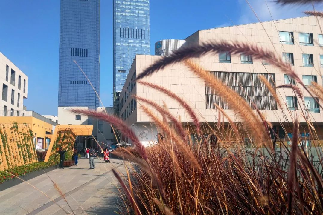 不能错过的新春打卡地,春节豪礼送不停