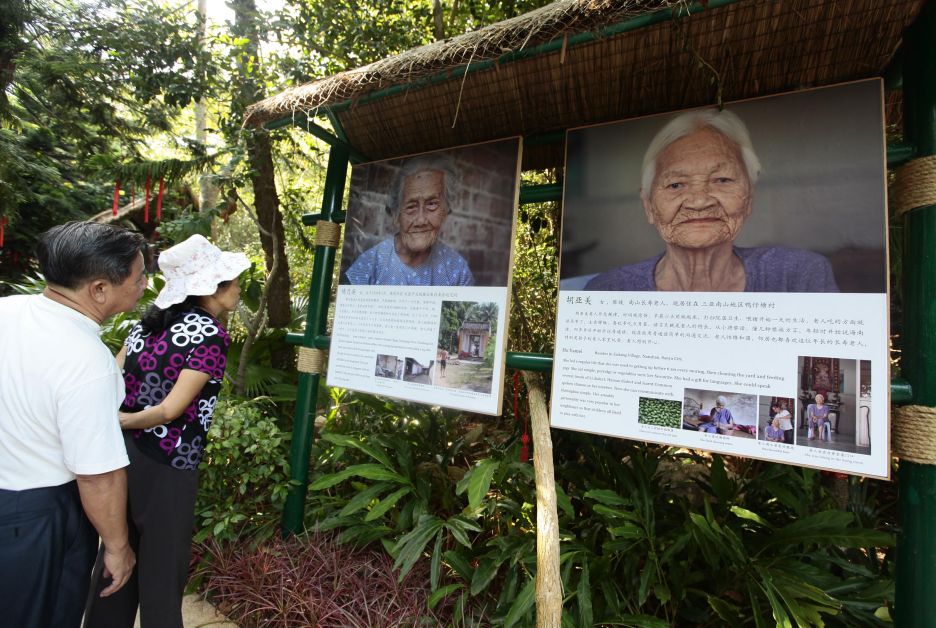 女婿搞定岳父母电视剧,女婿搞定老丈人的话