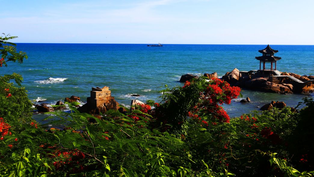 女婿搞定岳父母电视剧,女婿搞定老丈人的话