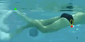 自由泳动作学会以后怎样巩固练习,只需四步轻松学会自由泳