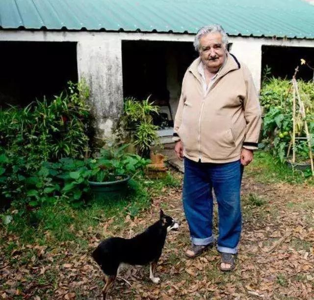 全世界最穷的总统,世界上最穷的国家总统