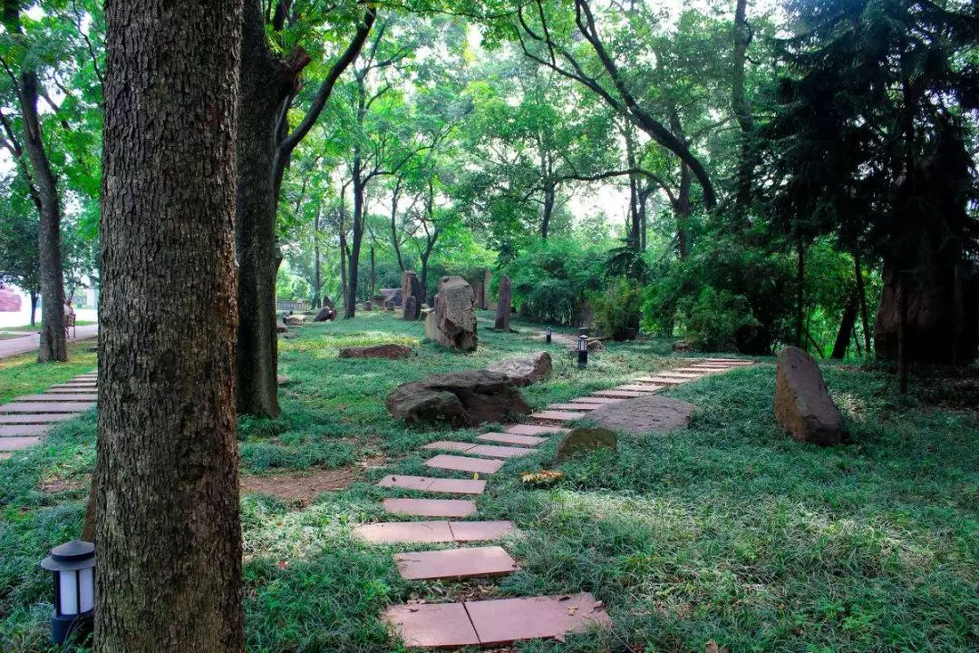 “重马”来啦！在沙坪坝的春天里应这样度过