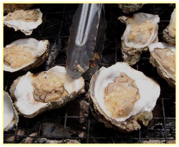 中药知识必学竹茹,中药牡蛎图片功效