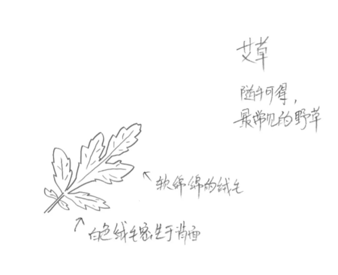 过完年你还回来吗,过完年你还走么