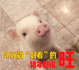 三水妇幼hpv预约,顺德hpv疫苗在哪可打