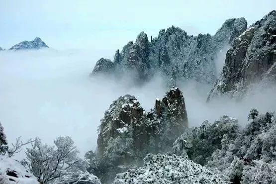 黄山正月游玩,黄山人游黄山免费票难抢吗