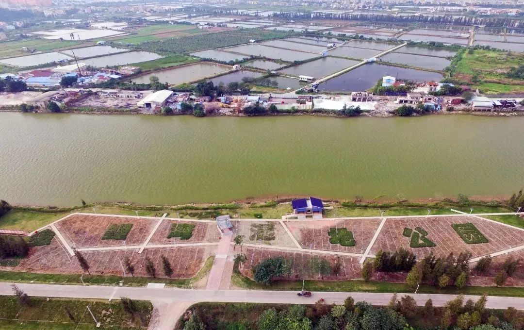 中山免费公园一览表,中山最美的免费公园