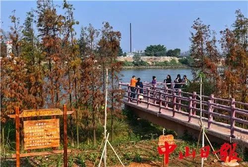 中山免费公园一览表,中山最美的免费公园