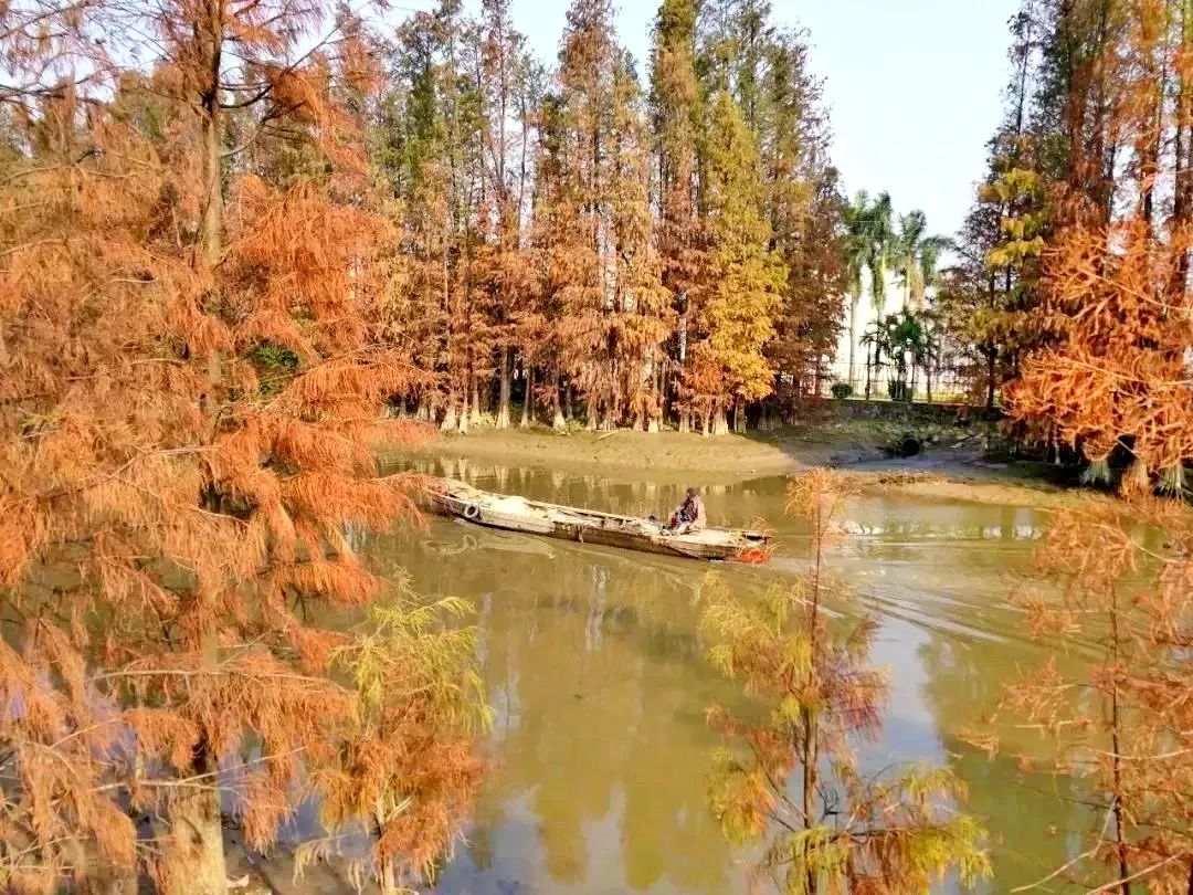 中山免费公园一览表,中山最美的免费公园