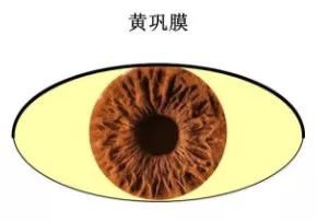 当眼睛有六种表现时当心是癌,当眼睛出现问题