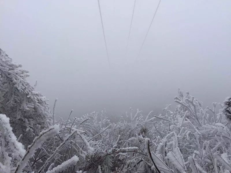 取暖器烤的腿上有红斑,冬天烤火小腿起红斑多久消失