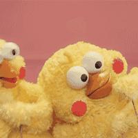 群龙聚首贺新春,青秀区国际传统舞龙邀请赛